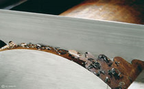 毕节带锯床线速度设定过高，为什么会导致带锯条齿尖发热加速锯条的磨损？